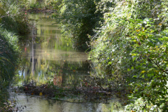 DSC_2077